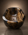 Aeon in Petrified Wood