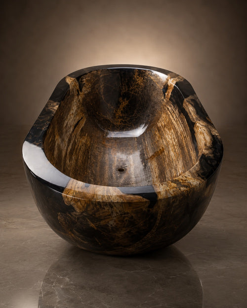 Aeon in Petrified Wood